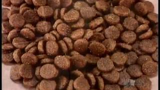How It's Made - Dog and Cat Food - Season 3