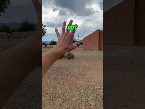 Punk music video thumbnail preview for Philmont - Where to Start