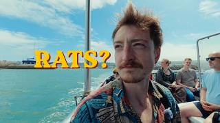 I Took a Boat to Ireland's Eye (It Wasn't What I Expected)