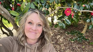 Washington State Capitol Grounds  | Beauty for Ashes #leadership #neverforget  #humanity #balance