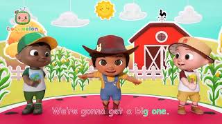 We're Going to a Pumpkin Patch 🎃 |  Nursery Rhymes & Kids Halloween Songs