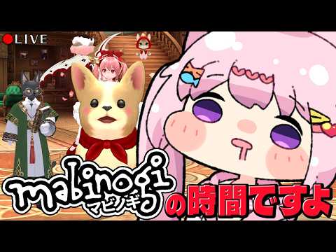 【 mabinogi 】久々に様子を見に来た世界だよ！【 マビノギ 】vtuber
