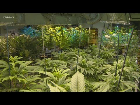 Lawmakers work on recreational marijuana
