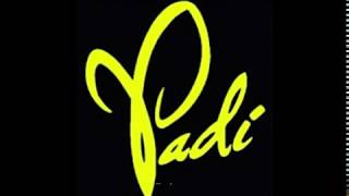 Padi - Sobat ( Lirikcover ) #PadiReborn