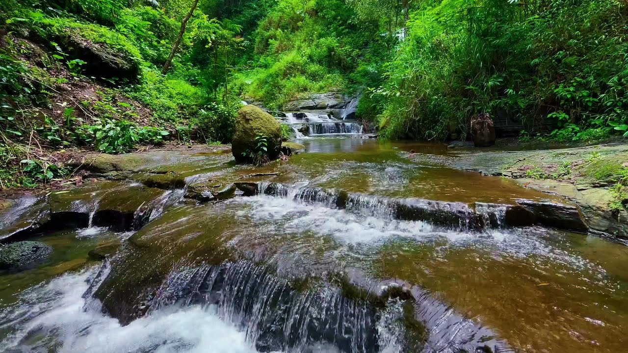 Great River Landscape - Rest and Relax in Nature Ambiance