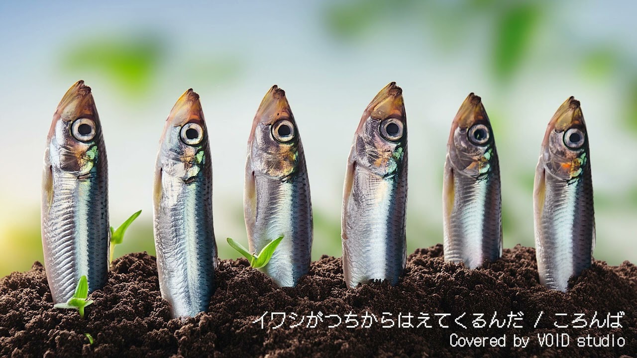 イワシがつちからはえてくるんだをバンドっぽくカバーしたんだ - YouTube