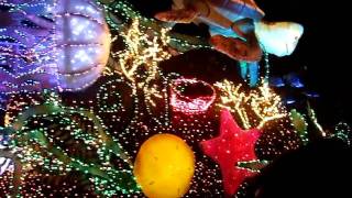 デイズニ　パレードショー８　DSCF5795.AVI