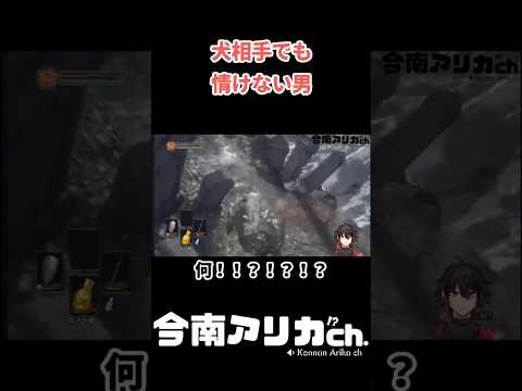 犬相手でも情けない男 #shorts #vtuber #funnyshorts  #darksouls3  #情けない #今南アリカ