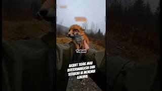 Due To His Ingratitude And Greed He Met His Death uniquefacts interestingfacts short