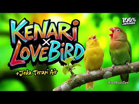 MASTERAN SATU JALUR + JEDA TERAPI AIR | GARANSI CEPAT MASUK!!