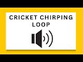 Cricket Chirping Loop - Free To Use Sound Effects