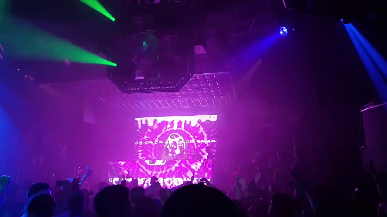 Brennan Heart Lose My Mind Remix