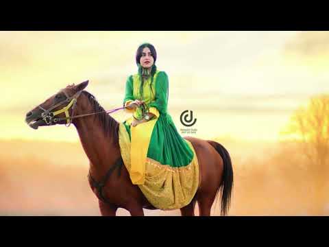 صدای ناب گنجعلی کریمی ترکی قشقایی 