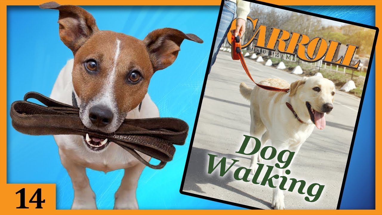 Dog Walking | Carroll Magazine LIVE 14