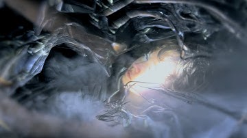 No Plexus - Everytime