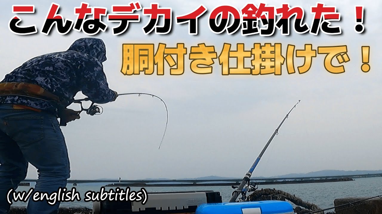 沖縄釣り 海中映像 胴付き仕掛けでこんなデカイ魚が釣れるた ビックリ 海中映像もあるよ 初心者から上級者まで簡単に 釣れる 山陰釣り新報 沖縄釣り 海中映像 胴付き仕掛けでこんなデカイ魚が釣れるた ビックリ 海中映像もあるよ 初心者から上級者まで簡単に 釣れる 山陰釣り新報