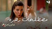 6 صالون زهرة زهرة الاوركيد