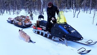 В Тайгу За Валежником На Снегоходе / Гружу Полные Сани / Самодельный Снегоход Тащит Куб Дров Легко