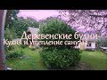 Деревенские будни. Кухня, засолка огурцов и начало утепления санузла