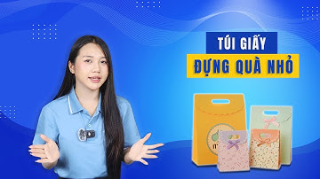 Túi Giấy Đựng Quà Nhỏ – Thiết Kế Đẹp, Chất Liệu Cao Cấp, Giá Tận Xưởng | Vinpack