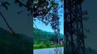 #bollywood #song #love #entertainment #music #shopify #ecommercetutorial #shopifytutorial #nature