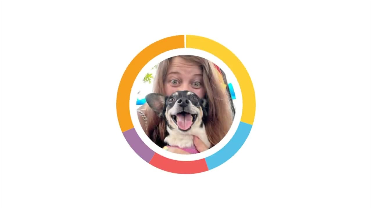 Rescue Dog's Embark DNA Test Results: Can You Guess the Breed of Our Little Dog? You Won't Expect It