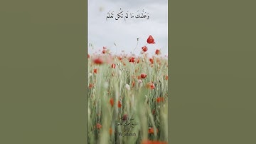 ماتيسر من سورة النساء | الشيخ حمدي محمود الزامل .. #islam #إسلاميات #حمدي_محمود_الزامل