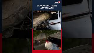 Bengaluru Storm Havoc: Road Caves In, Tree Crushes Van on Lavelle Road | Bengaluru Rains | N18S