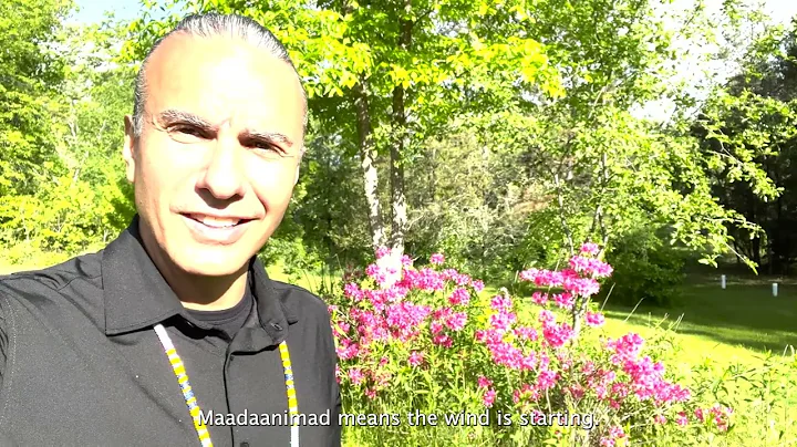 Noodin = Wind (Ojibwe Word of the Day)