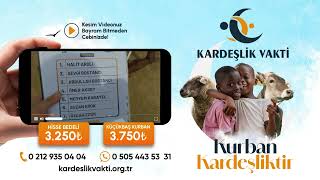 Bayram geçmeden kurban videonuz cebinizde. | Kardeşlik Vakti Derneği Kurban 2025
