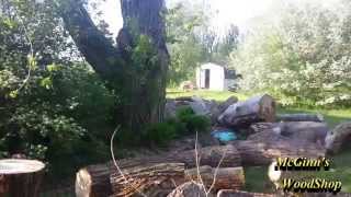 Wood Find!  Free Elm!!!!