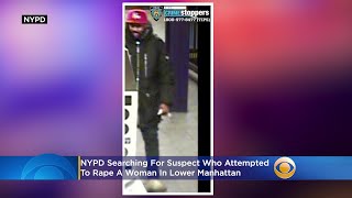 Police Say Suspect Shoved Woman Into Lower Manhattan Vestibule And Tried To Rape Her