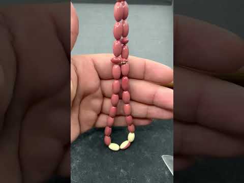 سبحة بلياردو ألماني كورة قديمة