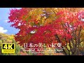 【4K】癒しBGMと美しい日本の紅葉VOL.2／疲れた心身の回復・リラックス効果・勉強中や作業用、目覚めの朝に、または眠れない夜にもどうぞ。natural sound 3 hours