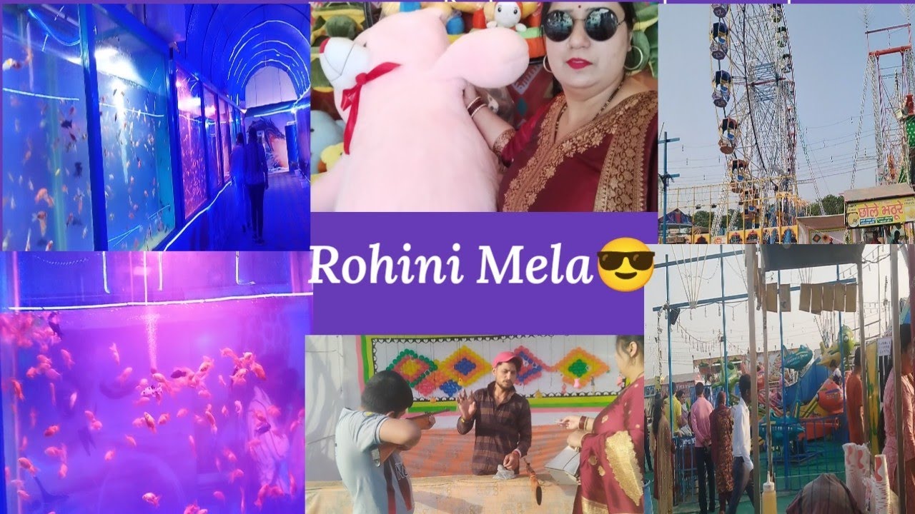 Rohini Mela 2024 underwater fish aquarium Mela Rohinidailyvlog enjoy
