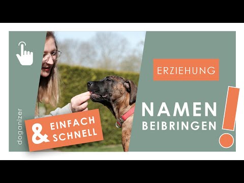 Video: Wie lange braucht ein Hund, um seinen Namen zu erfahren?