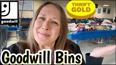 Wow!! 2 Great Days of Thrifting Fantastic Finds at the Goodwill Bins | Thrift With Me + BONUS Haul 