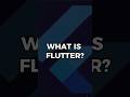 How Flutter save time and money? #flutter #development #founders