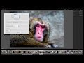 7 Tips for Making Lightroom Run Faster