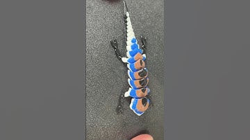 Flexi Chameleon 3D Print! #crealitycloud He is WATCHING!