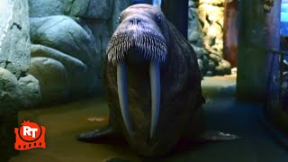 Aquarium of the Dead (2021) - HILARIOUS Zombie Walrus Attack Scene | Movieclips