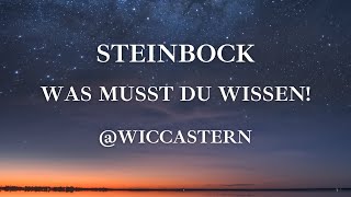 STEINBOCK Tarot | WAS IST WICHTIG FÜR DICH!