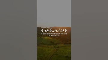 سورة النور #قران_كريم #اكسبلور #راحة_نفسية