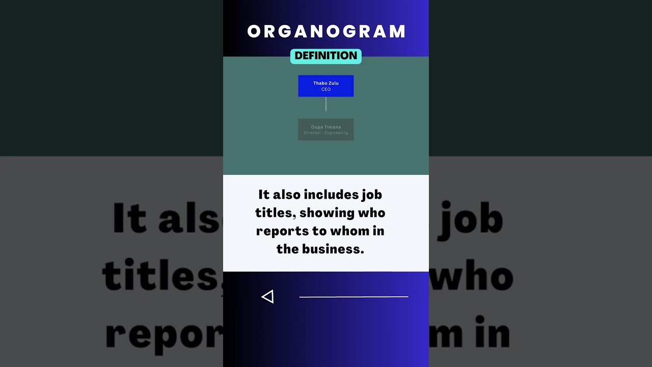Organogram | Definition ℹ️