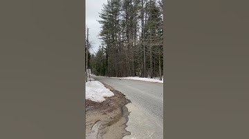 New Arrma Granite RC Truck Rips! #arrma #rc