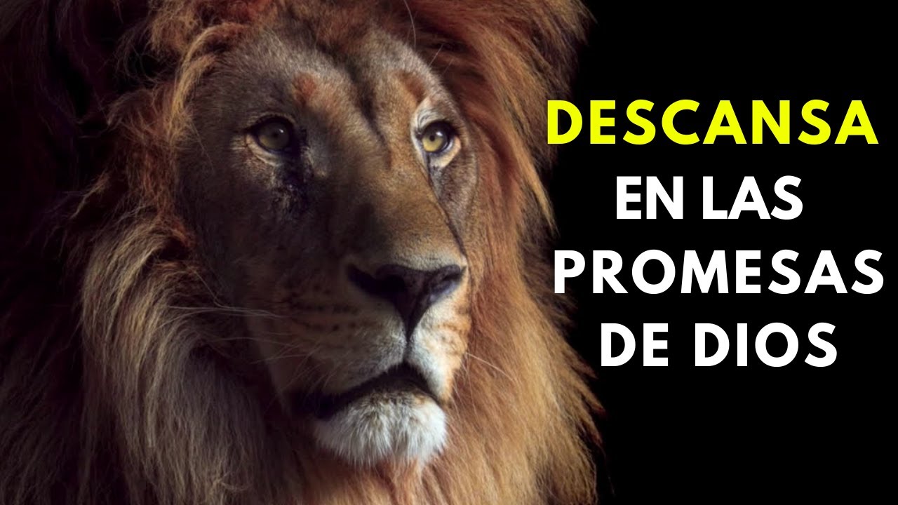 Duerme escuchando la Palabra de Dios | Recibe Paz, Sanidad y Descanso ...
