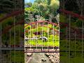 Kereta aesthetic di atas sungai - The great asia afrika#asthetic#estetik#kereta#train#desa#viral#fyp
