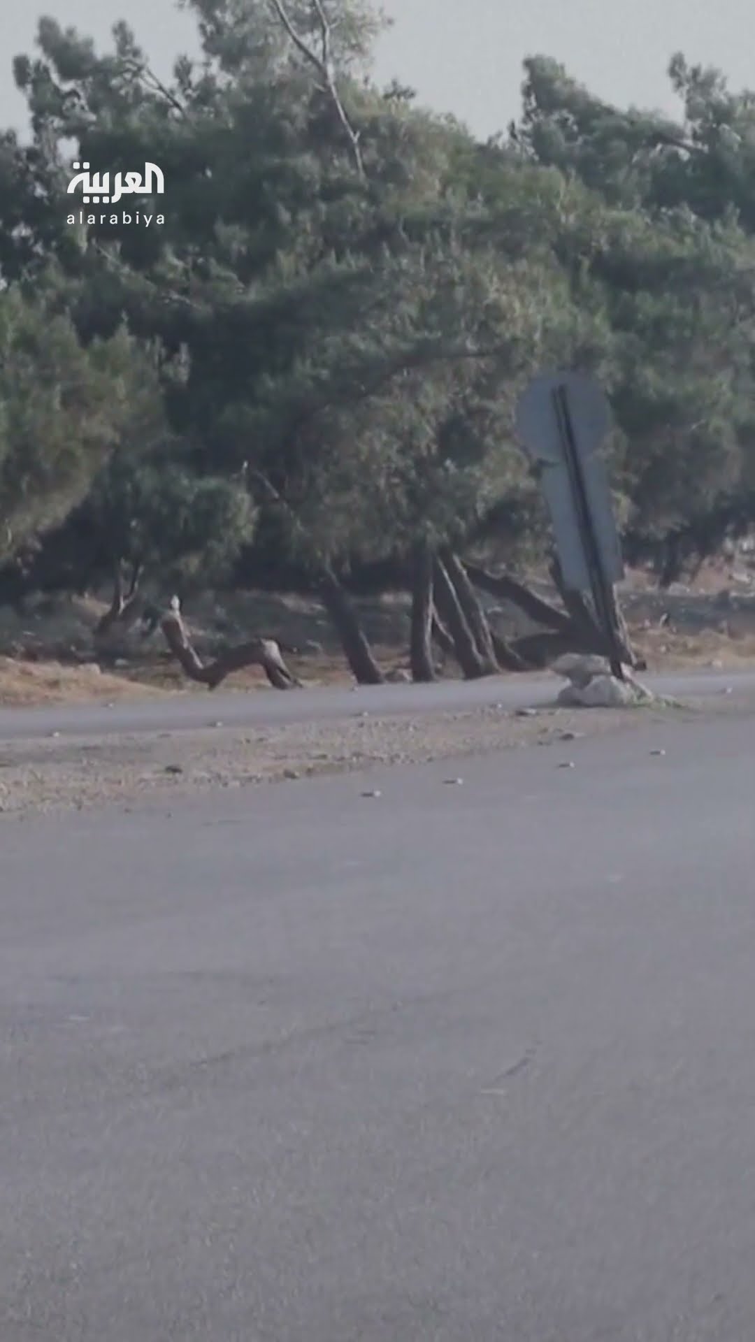 اندلاع اشتباكات في دير الزور بين قوات الأمن وعناصر من نظام بشار الأسد