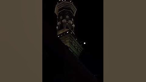 "مَا لَكم لا ترجون لله وَقَارًا"! تلاوة خاشعة •✦