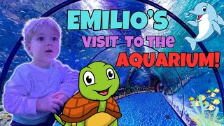 Emilio's Aquatic Adventure: Exploring the Wonders of the Aquarium! 🐠🌊 by Emilio 7,933 views 4 months ago 10 minutes, 27 seconds